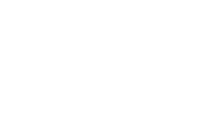 Website Development