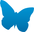 UMI CMS