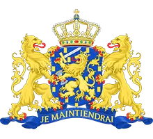 .nl domain logo